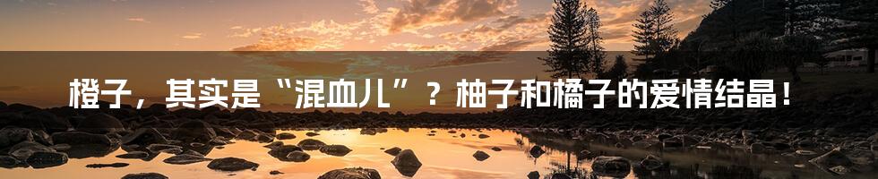 橙子,其实是“混血儿”?柚子和橘子的爱情结晶!