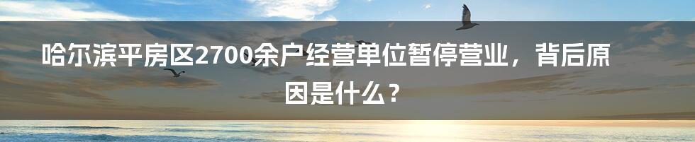 哈尔滨平房区2700余户经营单位暂停营业,背后原因是什么?