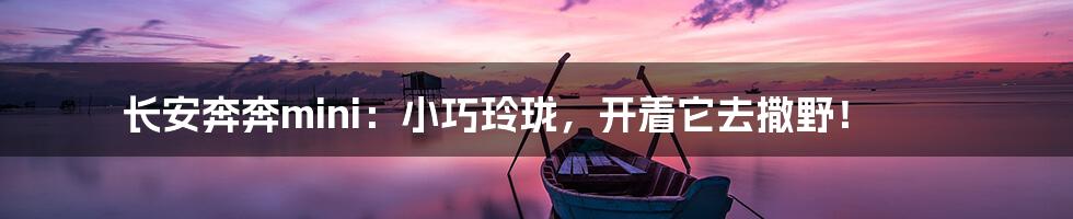 长安奔奔mini:小巧玲珑,开着它去撒野!