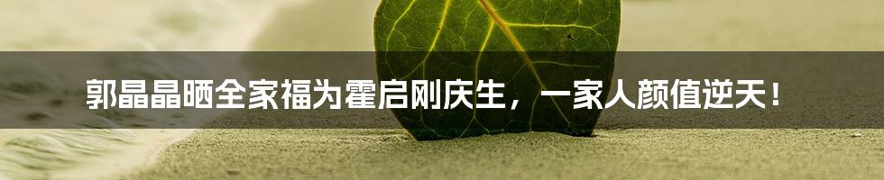 郭晶晶晒全家福为霍启刚庆生,一家人颜值逆天!
