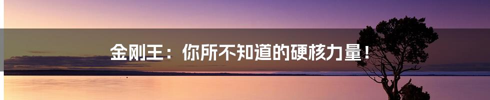 金刚王:你所不知道的硬核力量!