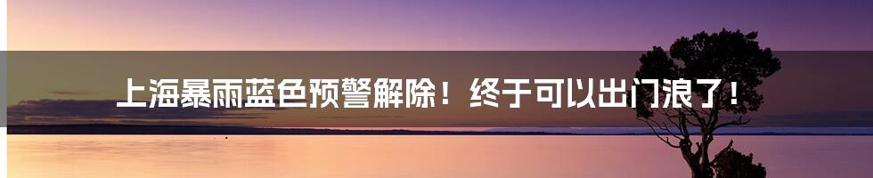 上海暴雨蓝色预警解除!终于可以出门浪了!
