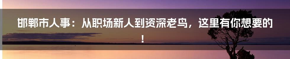 邯郸市人事:从职场新人到资深老鸟,这里有你想要的!