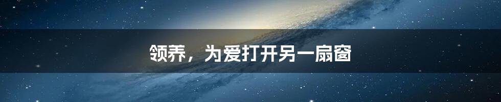 领养,为爱打开另一扇窗