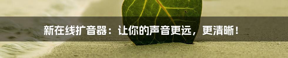 新在线扩音器:让你的声音更远,更清晰!