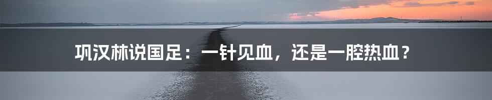 巩汉林说国足:一针见血,还是一腔热血?