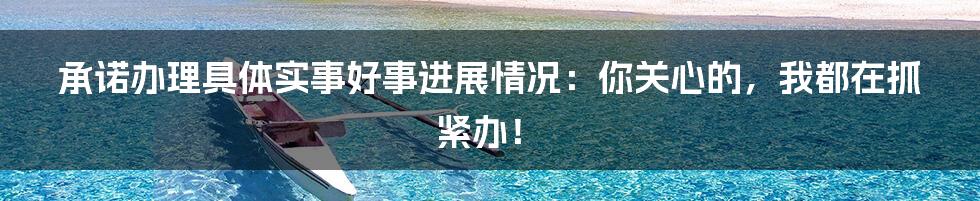 承诺办理具体实事好事进展情况:你关心的,我都在抓紧办!