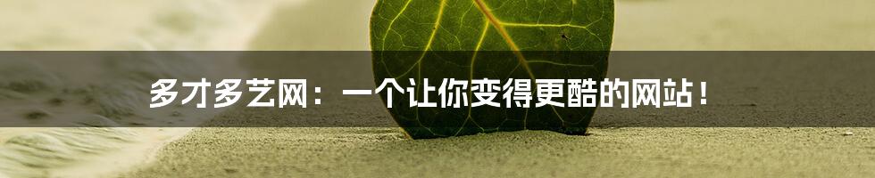 多才多艺网:一个让你变得更酷的网站!