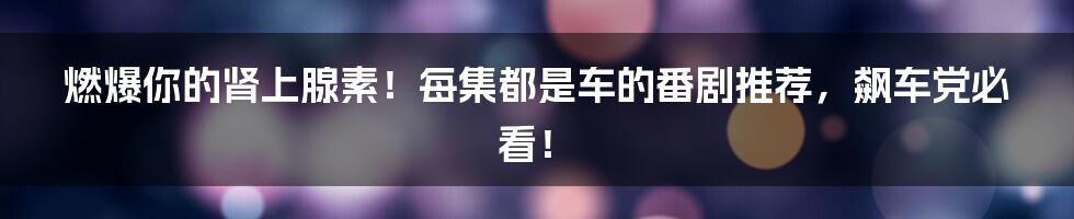 燃爆你的肾上腺素!每集都是车的番剧推荐,飙车党必看!