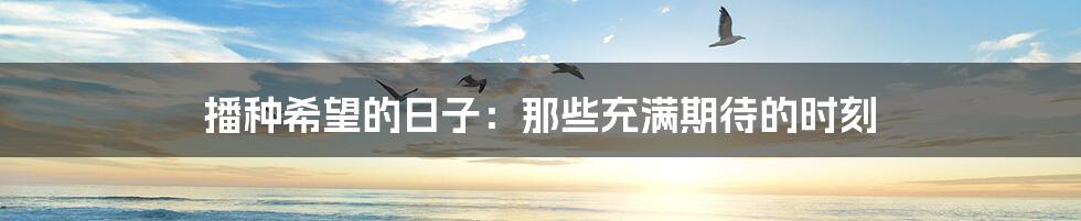 播种希望的日子:那些充满期待的时刻
