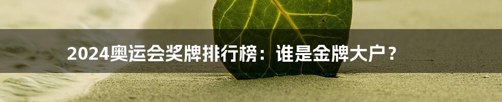 2024奥运会奖牌排行榜:谁是金牌大户?