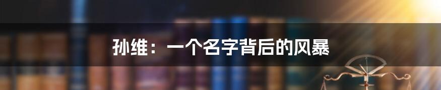 孙维:一个名字背后的风暴
