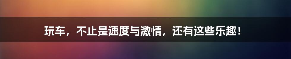 玩车,不止是速度与激情,还有这些乐趣!