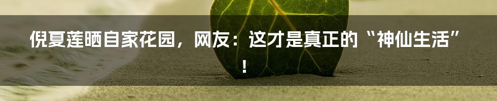 倪夏莲晒自家花园,网友:这才是真正的“神仙生活”!
