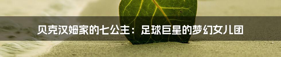 贝克汉姆家的七公主:足球巨星的梦幻女儿团