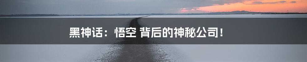 黑神话:悟空 背后的神秘公司!