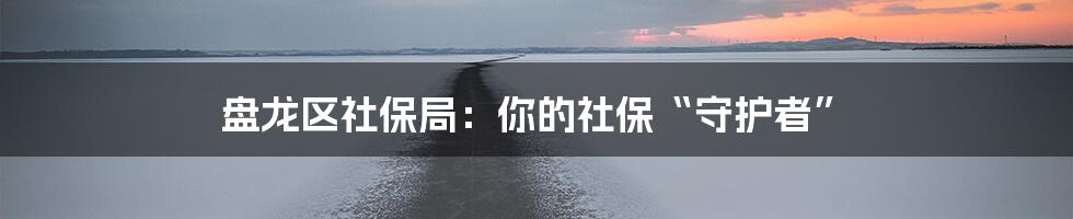 盘龙区社保局:你的社保“守护者”