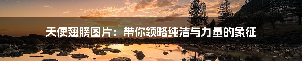 天使翅膀图片:带你领略纯洁与力量的象征