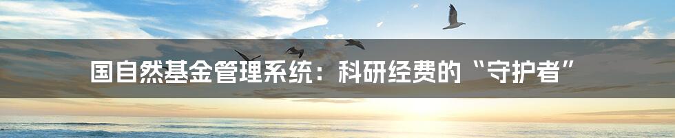 国自然基金管理系统：科研经费的“守护者”
