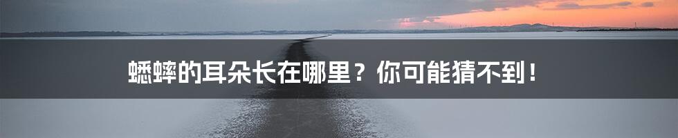 蟋蟀的耳朵长在哪里?你可能猜不到!