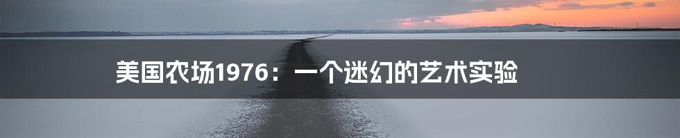 美国农场1976:一个迷幻的艺术实验