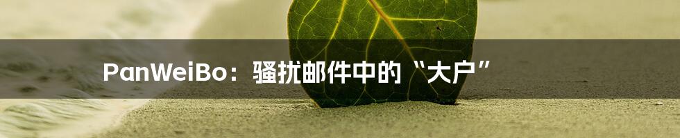 PanWeiBo:骚扰邮件中的“大户”