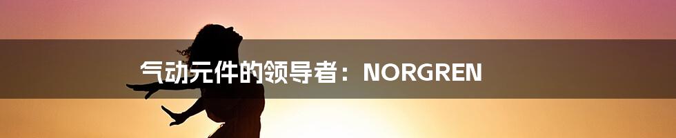 气动元件的领导者:NORGREN