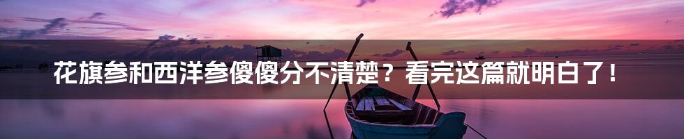 花旗参和西洋参傻傻分不清楚?看完这篇就明白了!