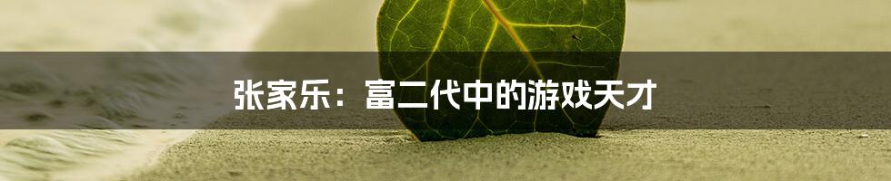 张家乐:富二代中的游戏天才