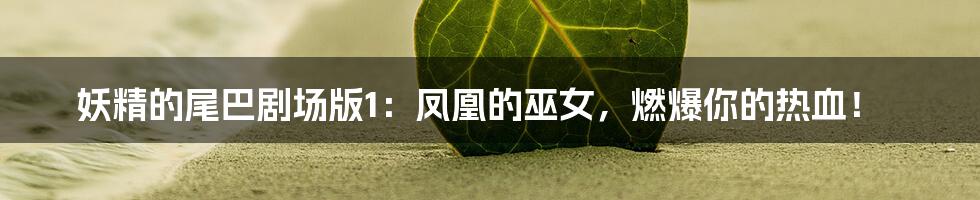 妖精的尾巴剧场版1:凤凰的巫女,燃爆你的热血!