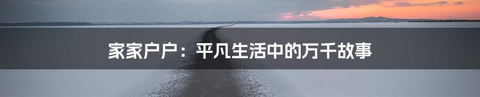 家家户户:平凡生活中的万千故事