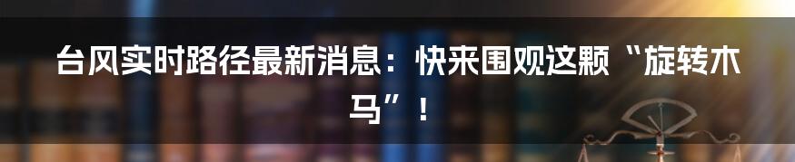 台风实时路径最新消息:快来围观这颗“旋转木马”!