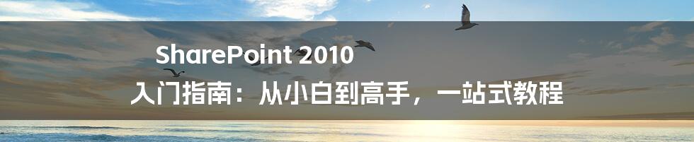 SharePoint 2010 入门指南:从小白到高手,一站式教程