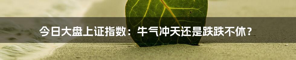 今日大盘上证指数:牛气冲天还是跌跌不休?