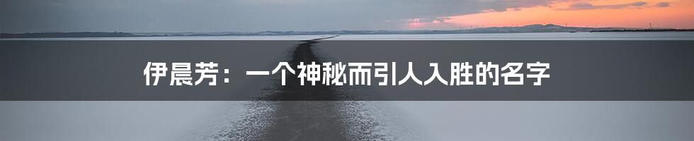 伊晨芳:一个神秘而引人入胜的名字
