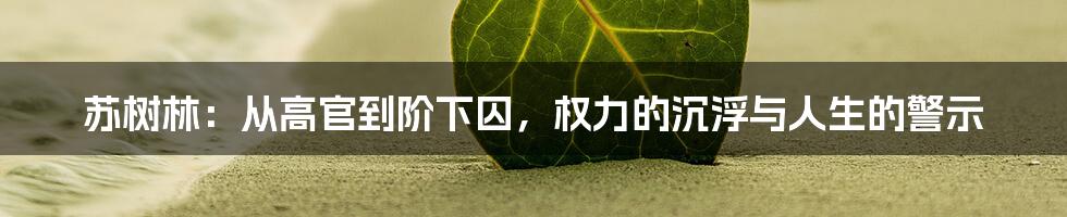 苏树林:从高官到阶下囚,权力的沉浮与人生的警示