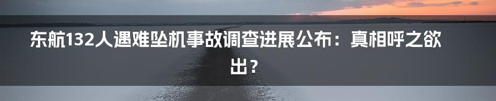 东航132人遇难坠机事故调查进展公布:真相呼之欲出?