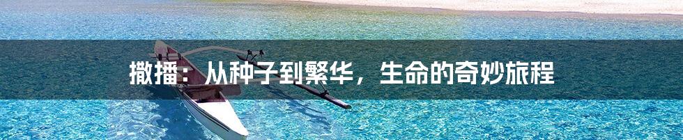 撒播:从种子到繁华,生命的奇妙旅程