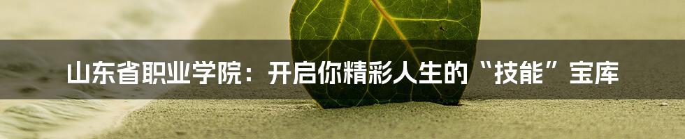 山东省职业学院:开启你精彩人生的“技能”宝库