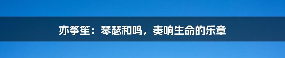亦筝笙:琴瑟和鸣,奏响生命的乐章