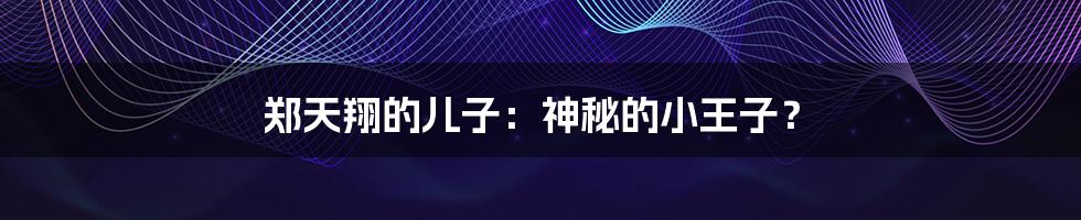 郑天翔的儿子:神秘的小王子?