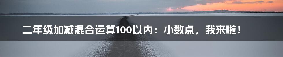 二年级加减混合运算100以内:小数点,我来啦!