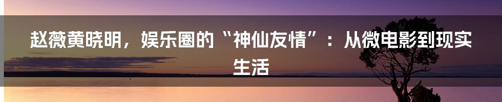 赵薇黄晓明,娱乐圈的“神仙友情”:从微电影到现实生活
