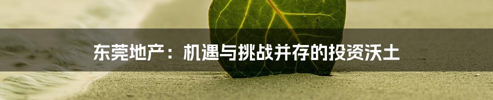 东莞地产:机遇与挑战并存的投资沃土
