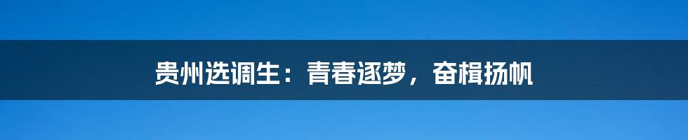 贵州选调生:青春逐梦,奋楫扬帆