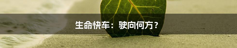 生命快车:驶向何方?