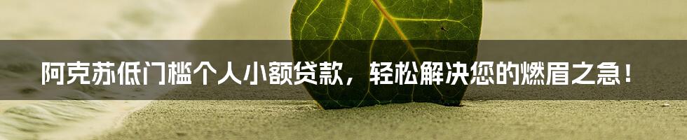 阿克苏低门槛个人小额贷款,轻松解决您的燃眉之急!