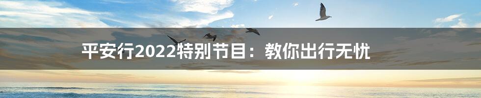 平安行2022特别节目：教你出行无忧