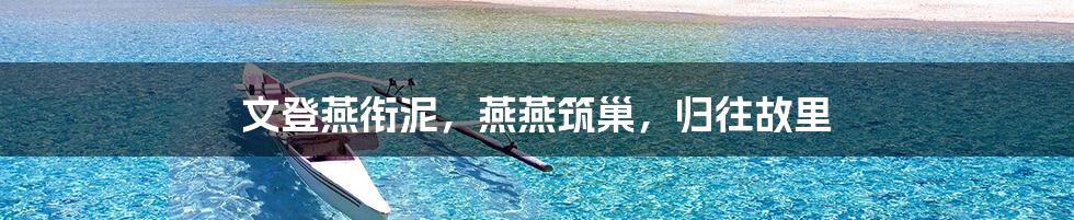 文登燕衔泥,燕燕筑巢,归往故里