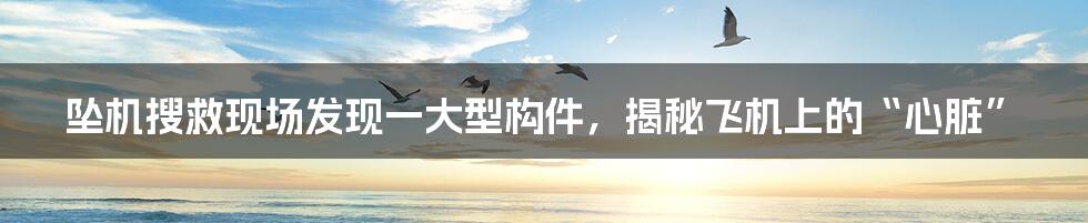 坠机搜救现场发现一大型构件,揭秘飞机上的“心脏”